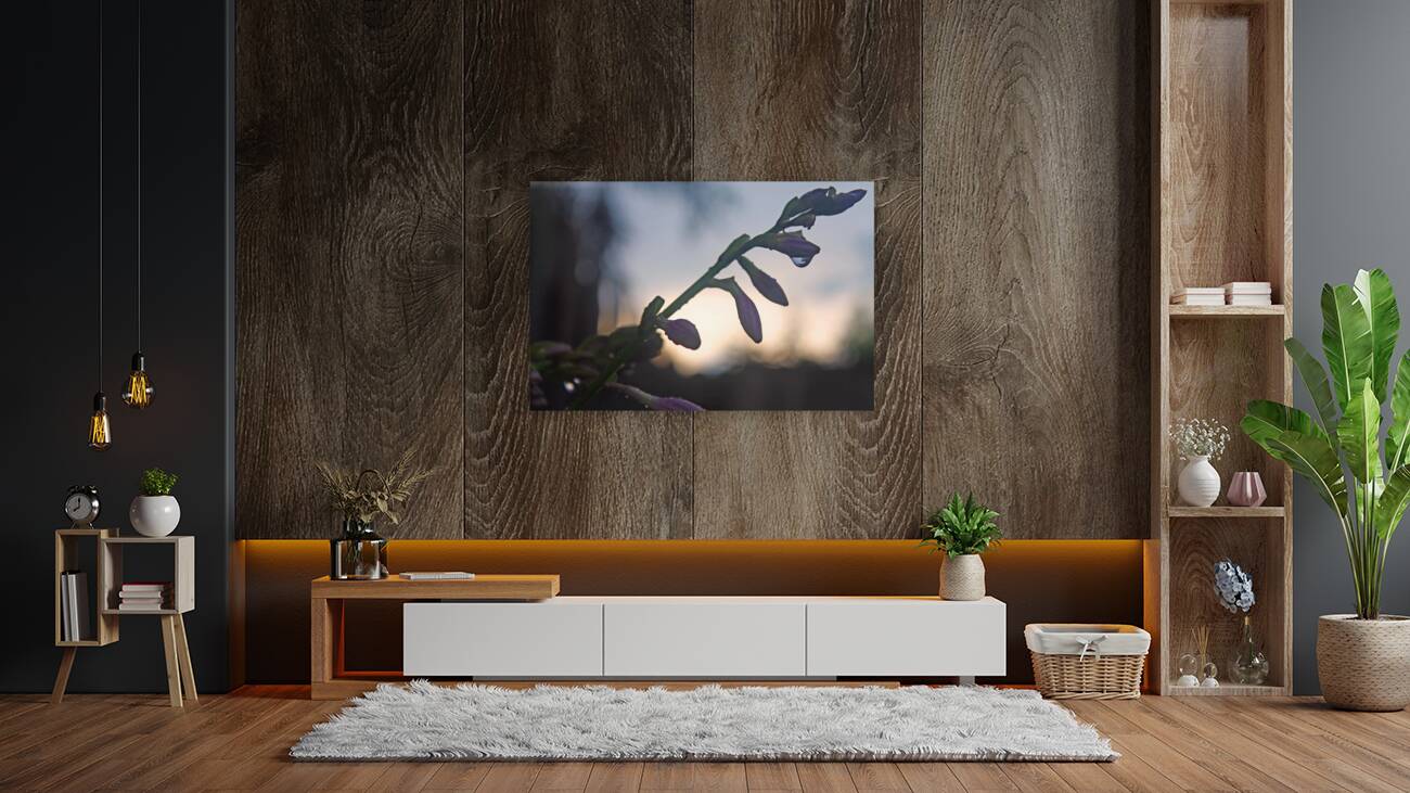 Rain at Dusk Reproduction