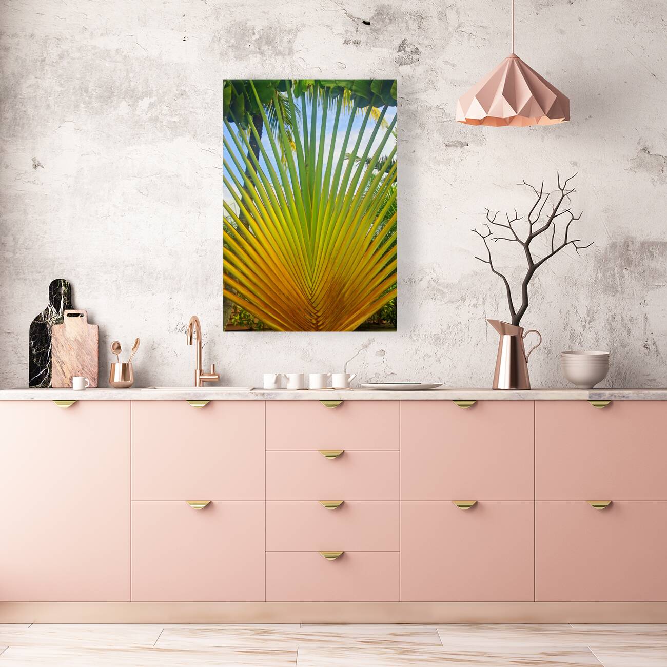 Sprouting Free in Belize Reproduction