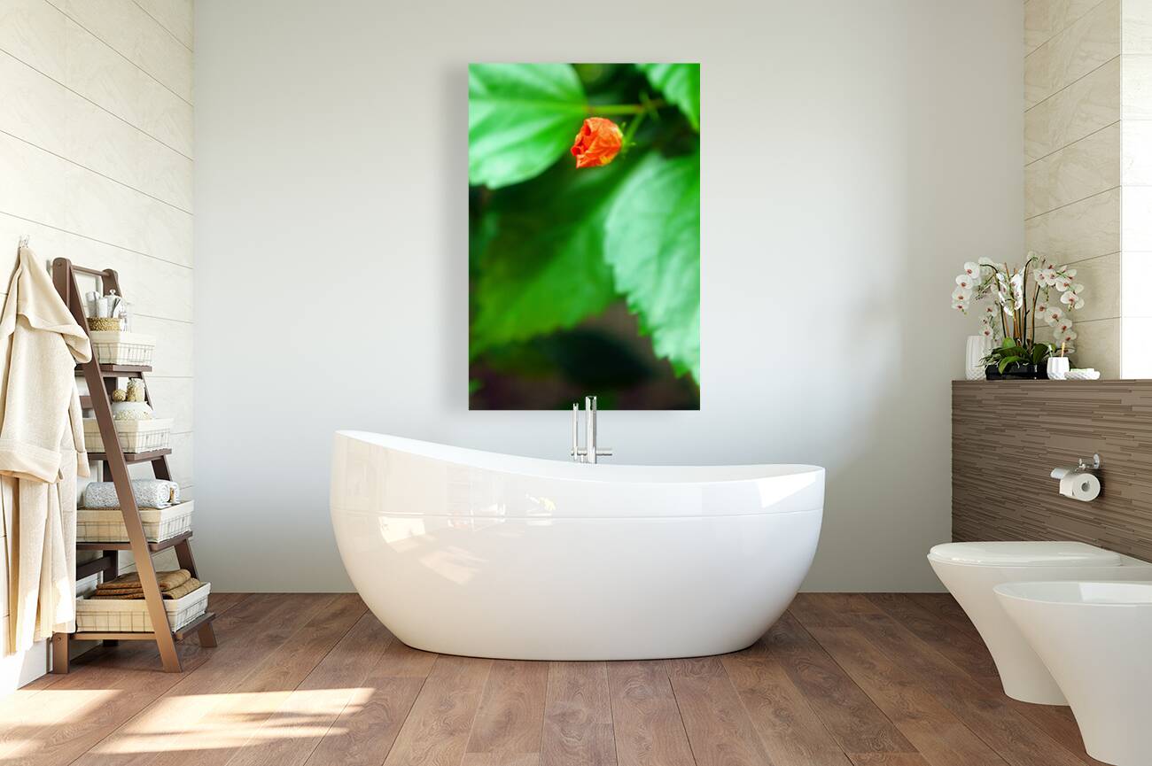 Waiting to Bloom in Belize by Timeless Scenery Photography Wall Art