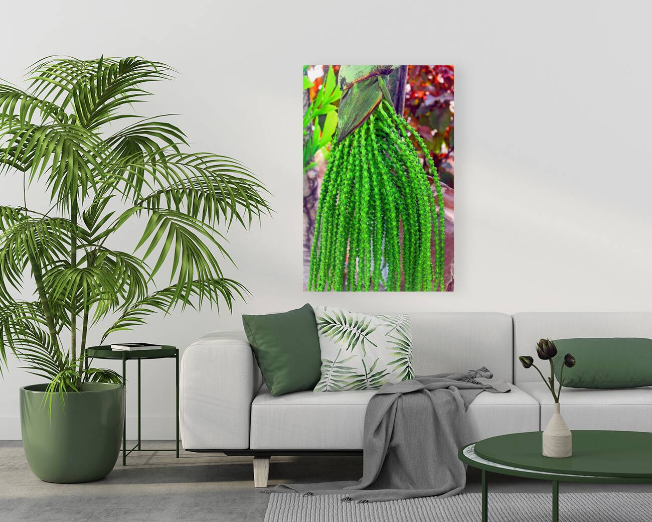 Plant Dreads - Belize Reproduction