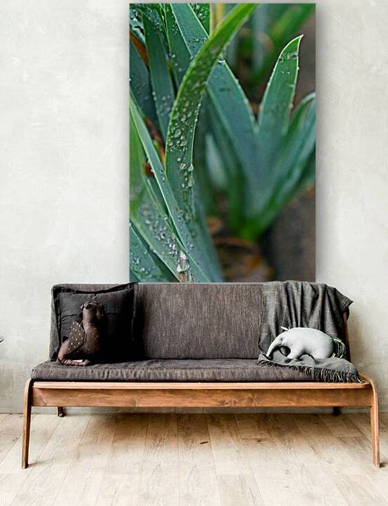 Rain and Grass by Timeless Scenery Photography