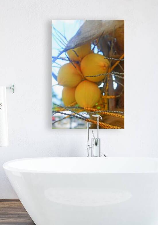 Jamaican Coconuts by Timeless Scenery Photography
