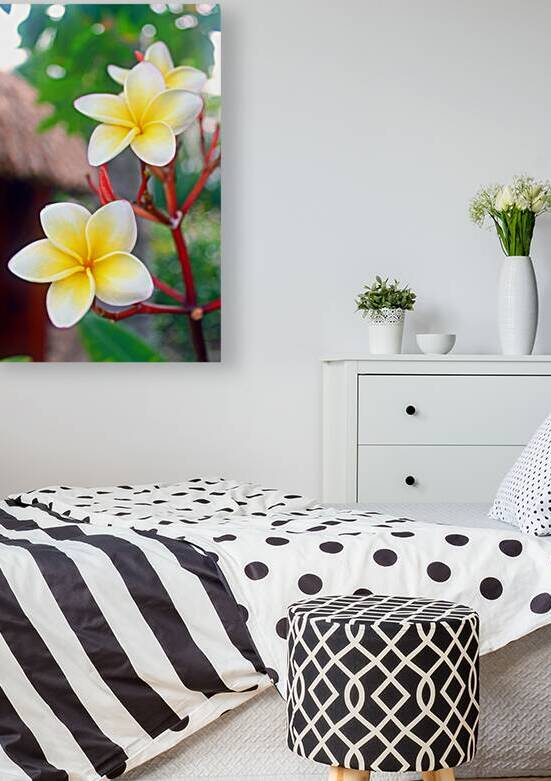 Frangipani - Belize by Timeless Scenery Photography
