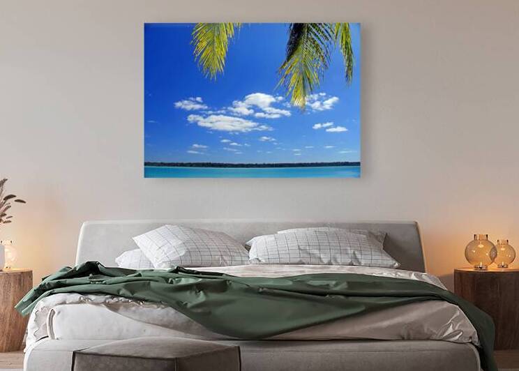 Peeking Palm Tree in Costa Maya Mexico by Timeless Scenery Photography