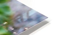 Delicately Beautiful HD Metal print