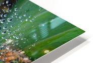 Spiderweb Raindrops HD Metal print