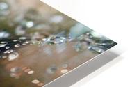 Raindrops Caught in a Web HD Metal print