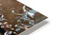 Raindrops In A Web HD Metal print