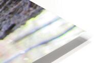 White Caterpillar HD Metal print