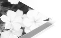 Camouflaged B&W HD Metal print