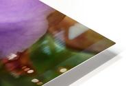 Violet - Belize HD Metal print