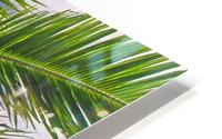 Overpowering - Belize HD Metal print