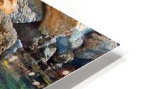 Resting Water - Belize HD Metal print