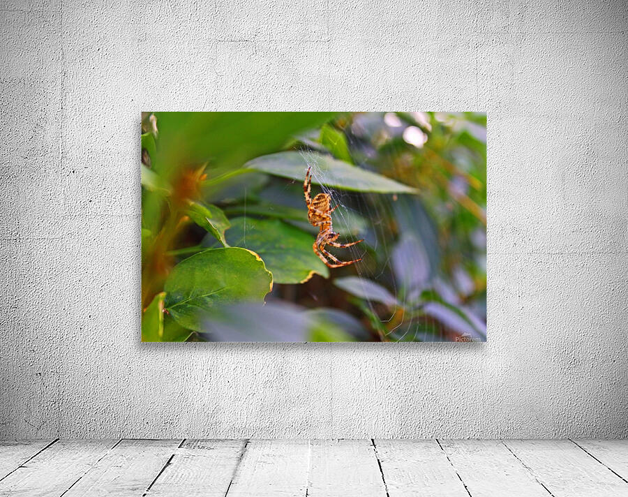 Creepy Crawly Wall Preview