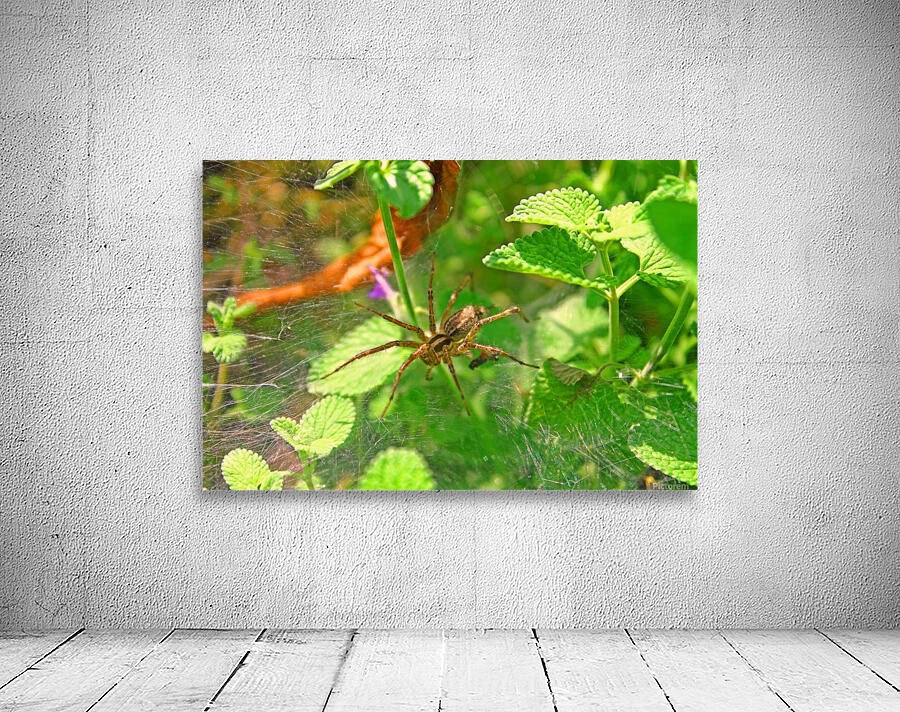 Eight Legged Friend Wall Preview