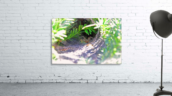 I See You Wall Preview