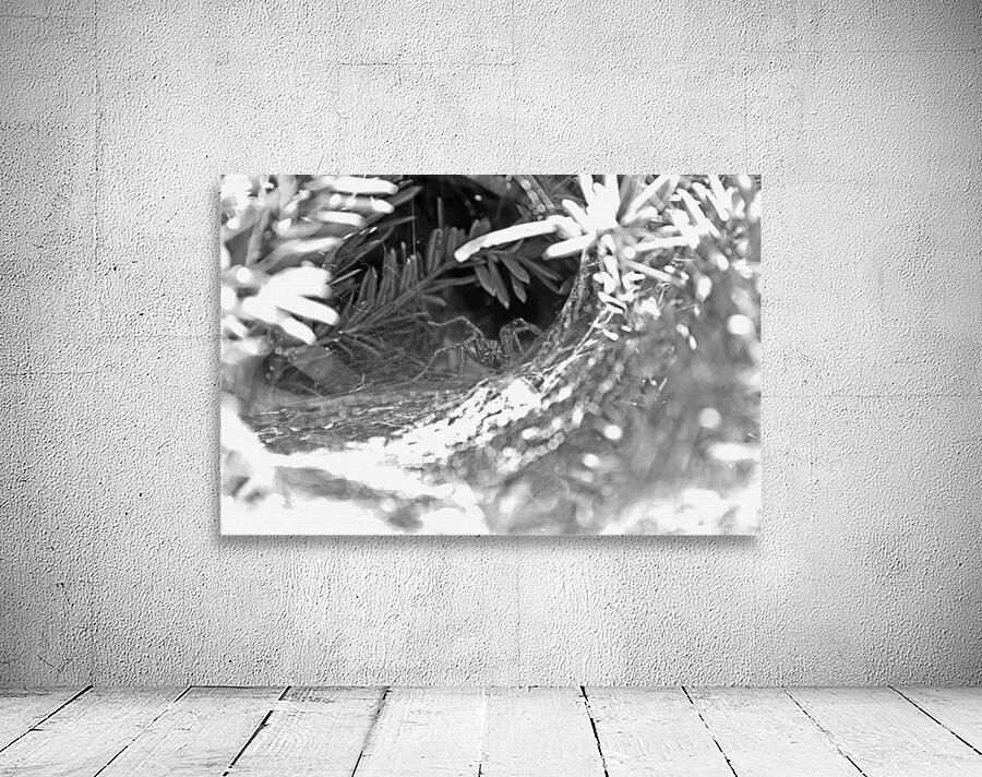 I See You B&W Wall Preview