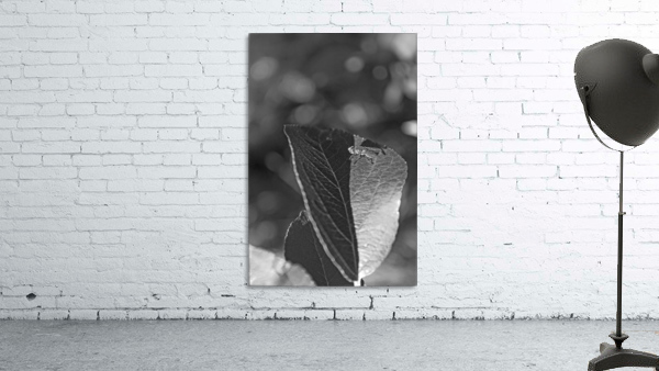 Be Still B&W Wall Preview