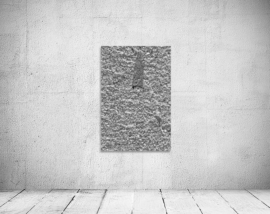 Red Ladybug B&W Wall Preview