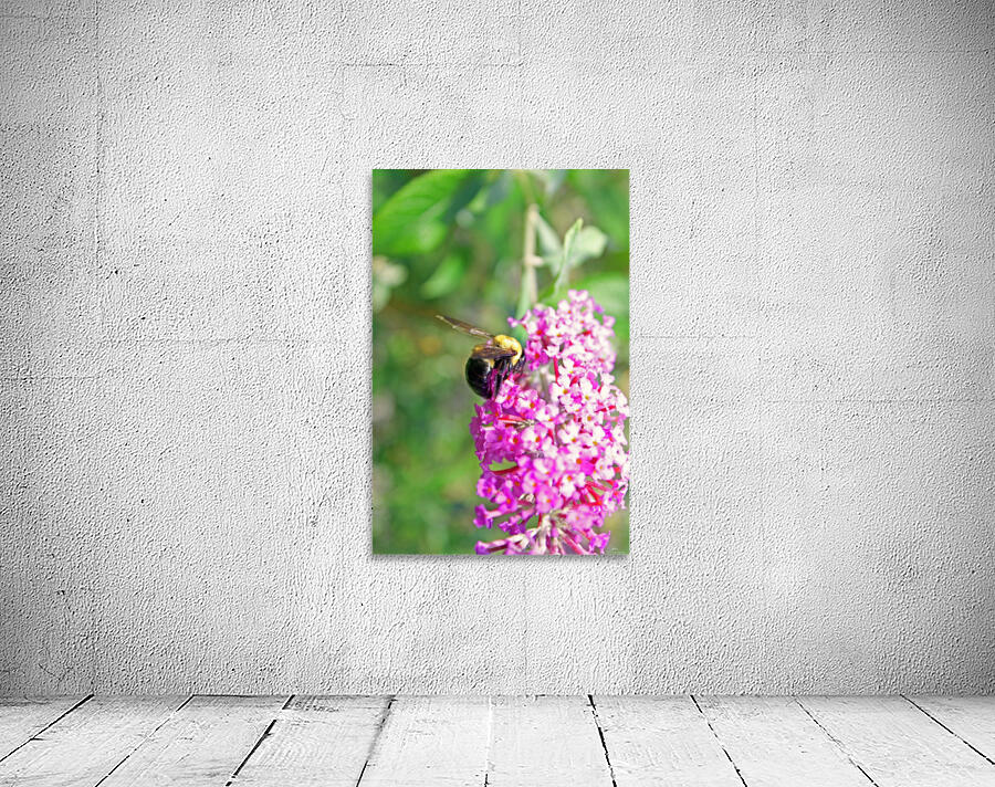 Bumblebee on a Flower Wall Preview