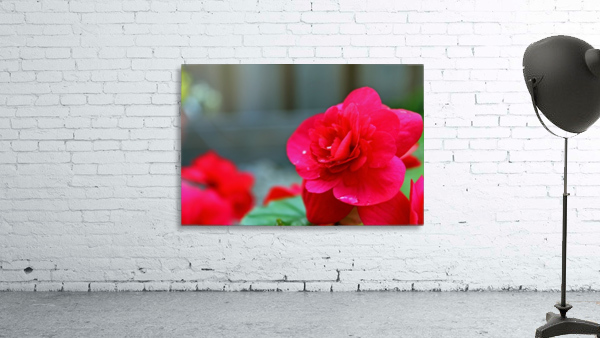 Red Water Wall Preview