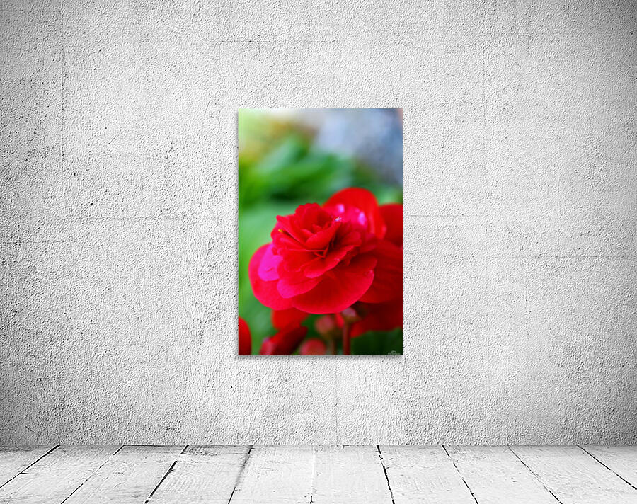 Beautifully Red Wall Preview