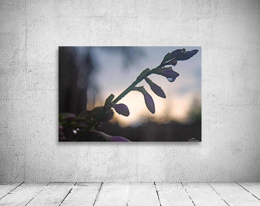 Rain at Dusk Wall Preview