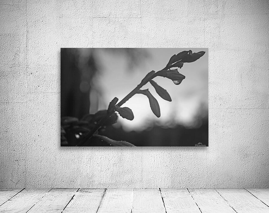 Rain at Dusk Wall Preview
