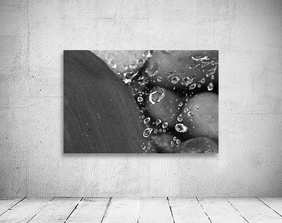 Raindrops In A Web B&W Wall Preview