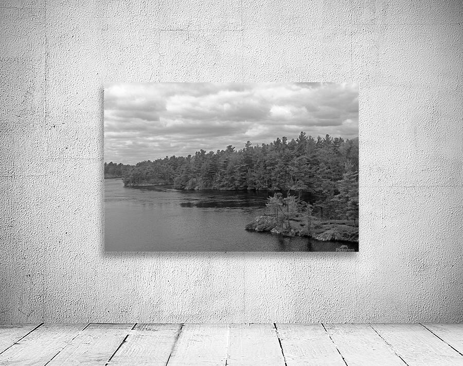 Infinite Trees B&W Wall Preview
