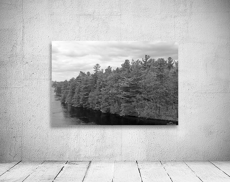 Changing Colours B&W Wall Preview