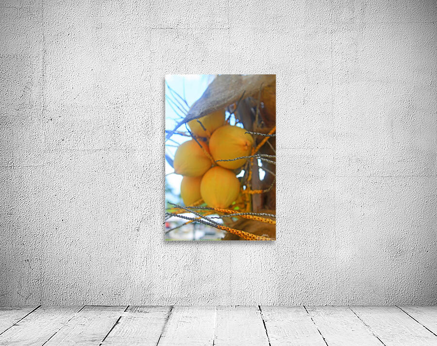 Jamaican Coconuts Wall Preview