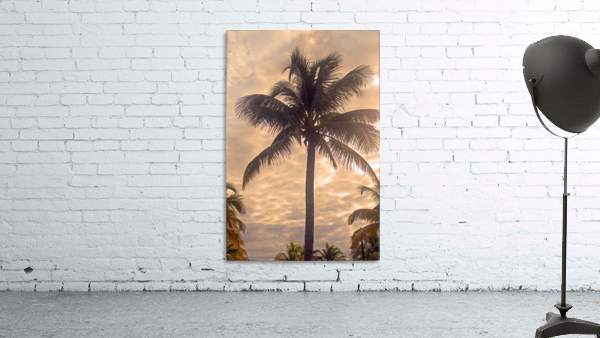 Standing Tall - Belize Wall Preview