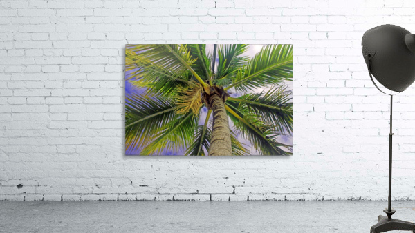 Overpowering - Belize Wall Preview
