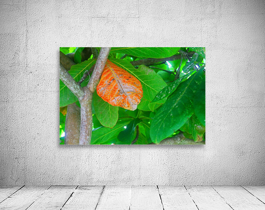 Standing Out Wall Preview