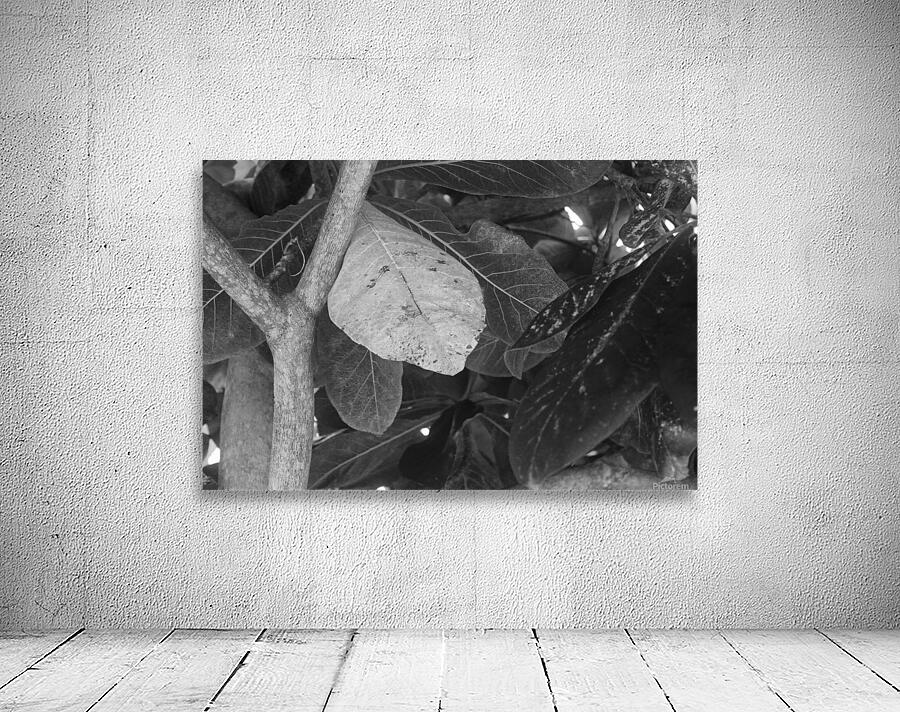 Standing Out B&W Wall Preview