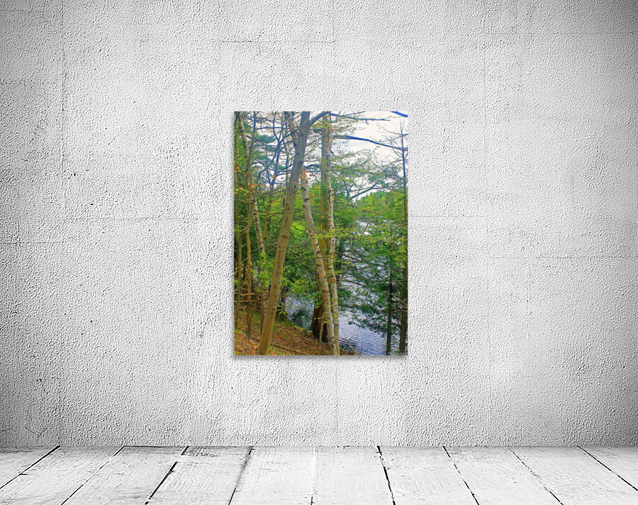 Through The Trees in 1000 Islands Wall Preview