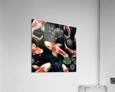 Koi Carp 1 Acrylic Print