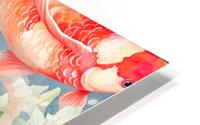 Koi Carp 2 HD Metal print