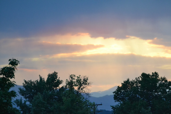 Sun breaking out of the trees to the heaven’s  Digital Download