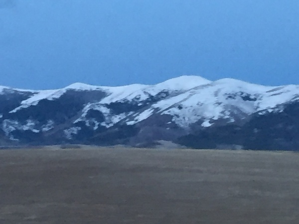 9B86A96C CBE0 4934 BA57 5571767FA435 Digital Download