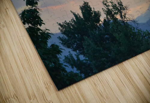 Sun breaking out of the trees to the heaven’s  Adam Orr puzzle