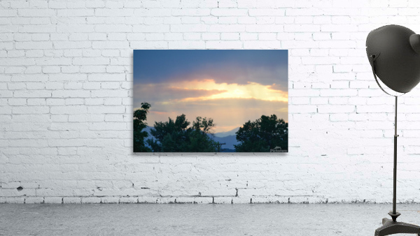 Sun breaking out of the trees to the heaven’s  Wall Preview