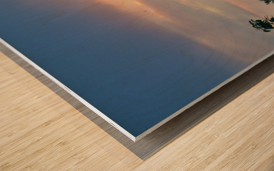 Sun breaking out of the trees to the heaven’s  Wood print