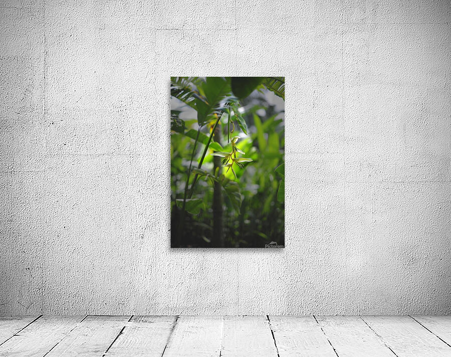 Waiting For You Wall Preview