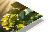 Eve HD Metal print