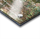 A Secret Acrylic print