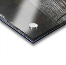 Enjoying the View Acrylic print