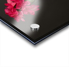 Flowers Acrylic print