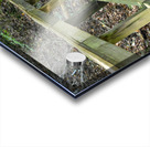 The trail of life Acrylic print